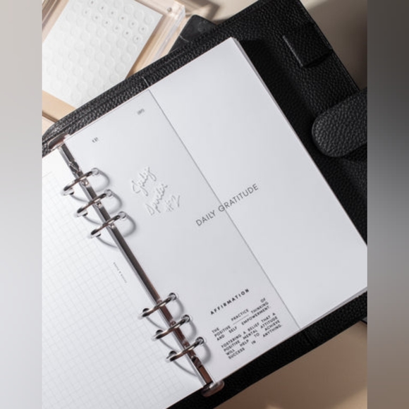 EVERYDAY CARRYALL POUCH + Ristretto LINER - LIMITED EDITION 25 - Picture 6 of 16